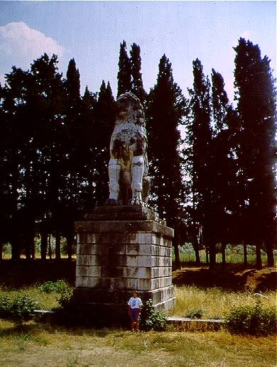 north9BIG.jpg (45539 bytes)