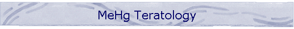 MeHg Teratology