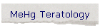 MeHg Teratology