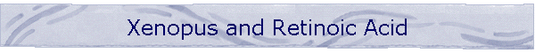Xenopus and Retinoic Acid