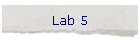 Lab 5
