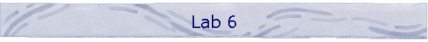 Lab 6