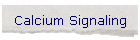 Thyroxin and Xenopus Development