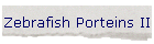 Zebrafish Porteins II