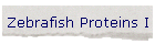 Zebrafish Proteins I