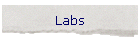 Labs