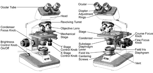 Parts of the Nikon Microscope