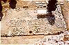 9804X.jpg (3762 bytes)