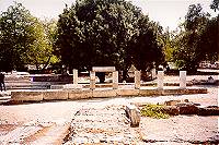 9805MID.jpg (11062 bytes)