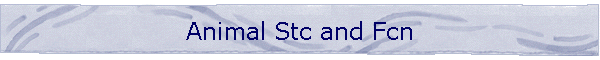 Animal Stc and Fcn