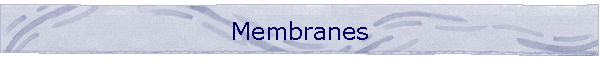 Membranes