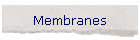 Membranes