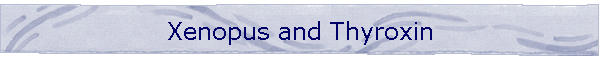 Xenopus and Thyroxin