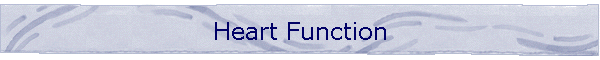 Heart Function