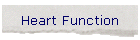 Heart Function