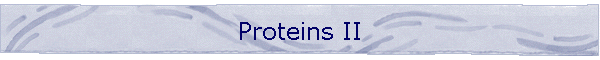 Proteins II