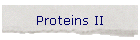 Proteins II