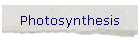 Photosynthesis