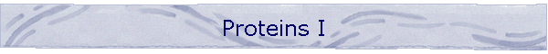 Proteins I