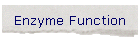 Enzyme Function