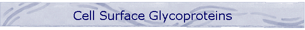 Cell Surface Glycoproteins
