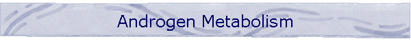 Androgen Metabolism