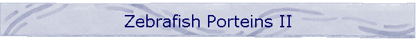 Zebrafish Porteins II