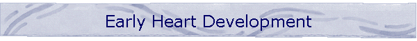 Early Heart Development