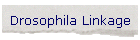 Drosophila Linkage