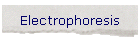 Electrophoresis