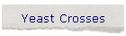 Yeast Crosses