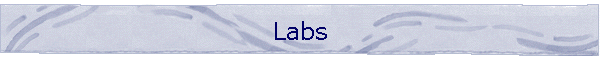 Labs