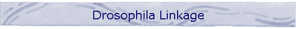 Drosophila Linkage
