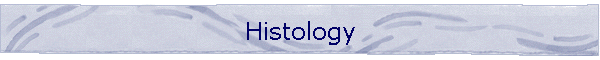 Histology