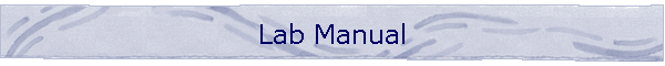 Lab Manual