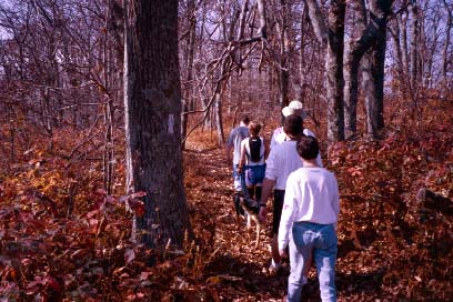 Three Ridges Summit