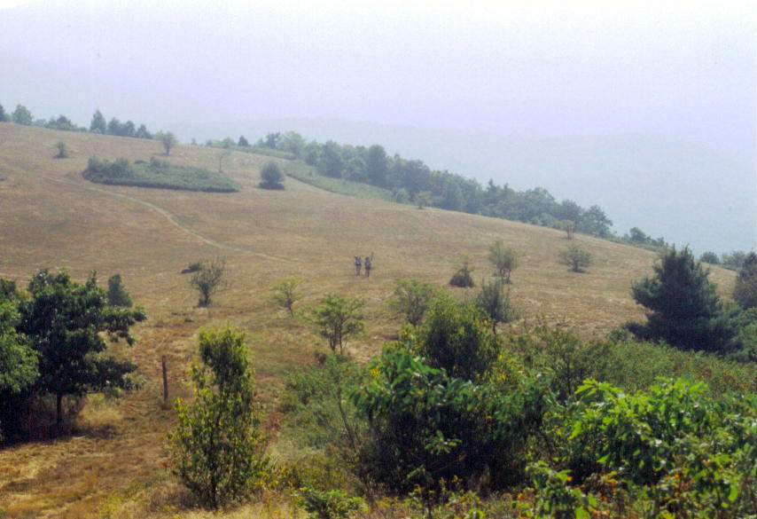 Photo20
